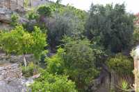 23 Hakeldama - Monastère Saint-Onuphrius