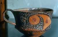 212 Phaestos - Tasse