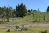 030 Prairie près de Mud Volcano B