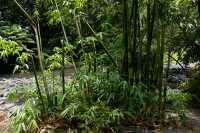 073 Torrent (Trois cascades)