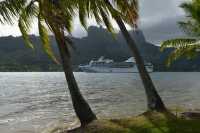 64 Le paquebot Paul Gauguin dans la baie d'Opunohu (le matin)