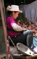 08 Camion de pommes de terre