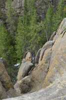 52 Gibbon River (près de Virginia Cascade)