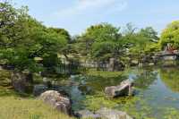 030 Château Nijo-jo (Parc)