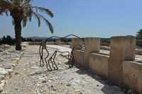 55 Etables du sud pour 150 chevaux