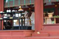 14 Temple shintoïste - Mariage