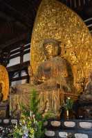 020 Kofuku-ji (Karikon-do - Buddha)