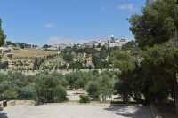 01 Le mont des oliviers vu depuis l'esplanade