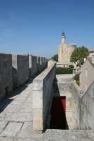 56 Tour de Constance vue de la porte des remblais