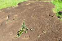 11 Pétroglyphes - Papa Vaka