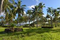 59 Palmeraie & restes du village (Aldea Manga Hauepa) B