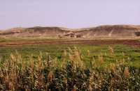 830 Entre Zénobia et le lac Assad