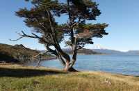 021 Ensenada Zaratiegui