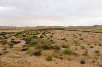 03 Désert près de Shivta