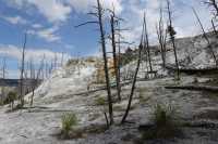 55 New Highland Terrace B