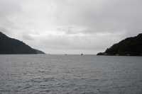 117 Embouchure de Milford Sound