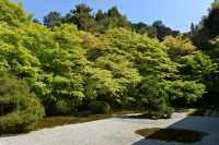 44 Temple Nanzen-ji (Jardin)