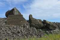 12 Faucon sur le Moai