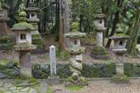 117 Kasuga (Temple Shinto) Lanternes