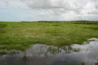 20 Foog Dam (près de Monsoon Forest)