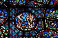 6-4 - Création des animaux