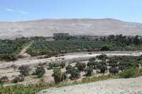 59 Vallée de Azapa vue de la Pukara San Lorenzo