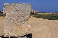 037 Dédicace de Pilate à Tibère (