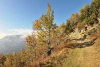 52 Vers Pierre Blanche