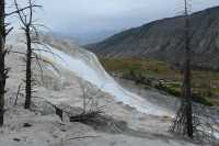 36 Mammoth Hot Spring Terraces