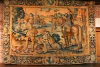 Chasse de François I 