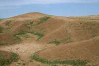 602 Emplacement du palais