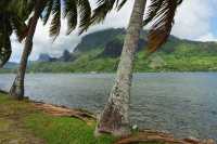 80 Baie de Cook (Paopao)