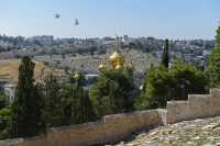 13 Jérusalem vu du Dominus flevit
