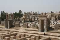 129 Harem + 100 colonnes