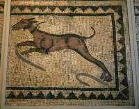 063 - Mosaïque romaine - Chasse