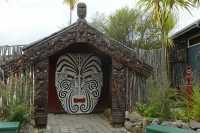 020 Tikitere (Hell's Gate à 16 km de Rotorua)