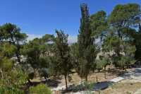 26 Colline de Bethphagé