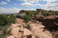 24 Dead Horse - Neck