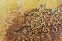 42 Mammoth Hot Spring Terraces