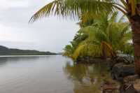 41 Poutoru - Tahaa B