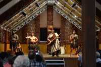 208 Spectacle maori (Te Po)