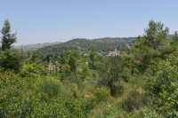 86 Ein Karim, dans la montagne de Judée (vu depuis le monastère russe)