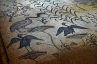 27 Mosaïque - Oie & canards