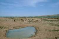 616 Korsabad - Troupeau