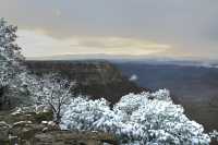 30 Gd Colorado Neige