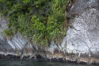 086 Base du fjord, Doubtful Sound