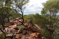 05 Mereenie Loop Road