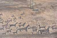 133 Géoglyphes Détail (droite)