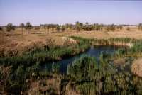 334 Babylone -  Ziggurat E-Téménanki