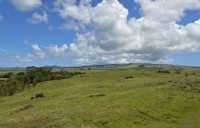 38 Moai dispersés autour du volcan
